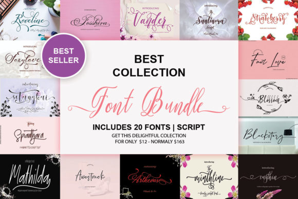 Download Best Collection Font Bundle - Font Collection